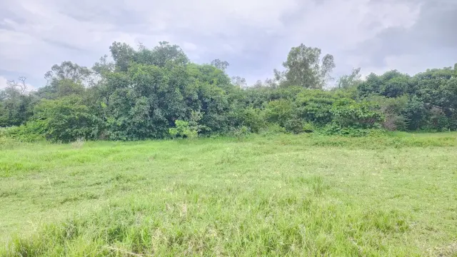 Residential Stand for Sale