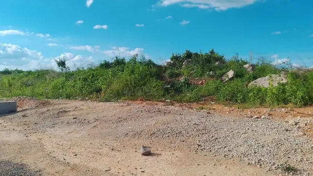 Industrial Stand for Sale