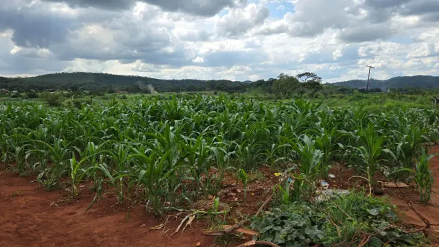 Residential Stand for Sale