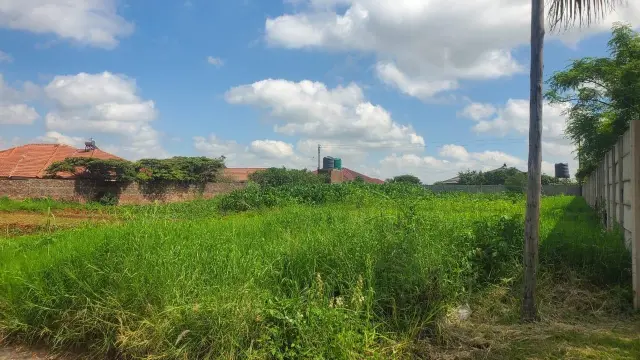 Residential Stand for Sale