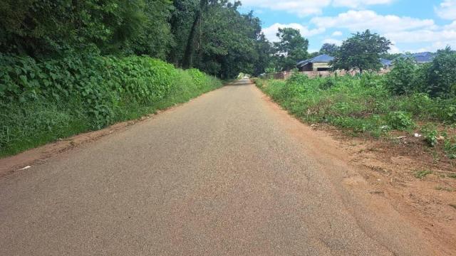 Stand for Sale in Marlborough