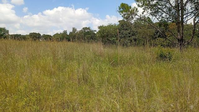 Stand for Sale in Goromonzi