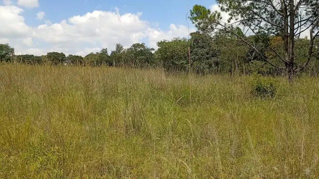 Residential Stand for Sale inGoromonzi