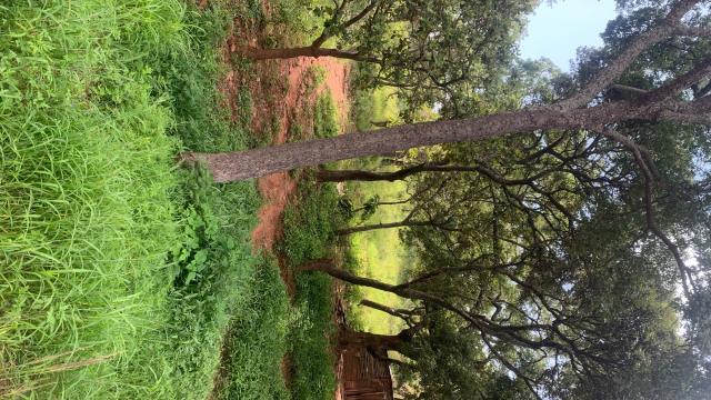 Stand for Sale in Gletwin Park