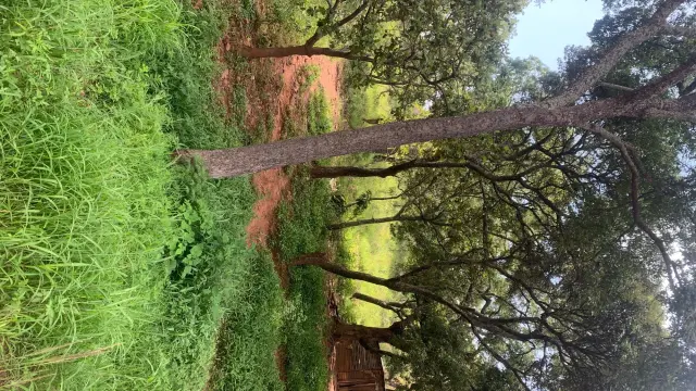 Residential Stand for Sale