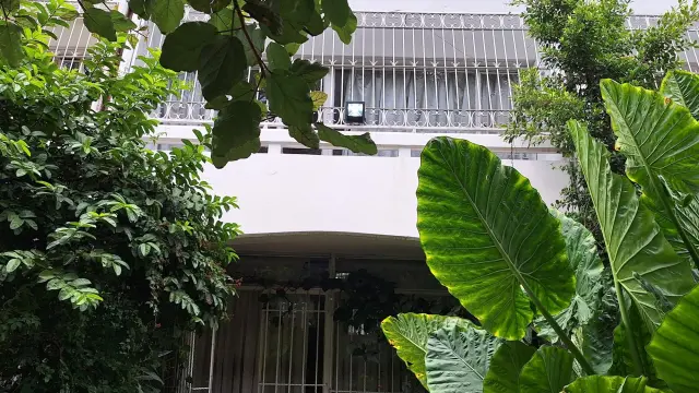 Cottage/Garden Flat to Rent