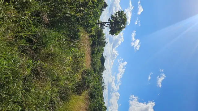 Commercial Stand for Sale in Marondera