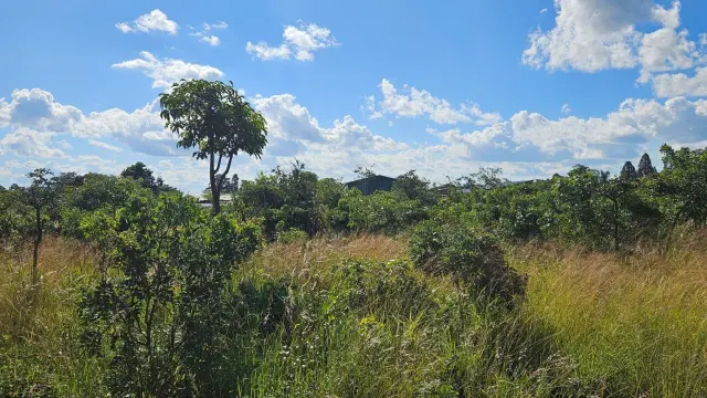 Commercial Stand for Sale