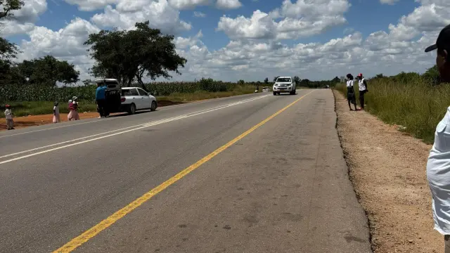 Commercial Stand for Sale