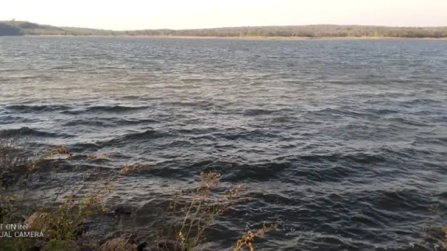 Commercial Stand for Sale