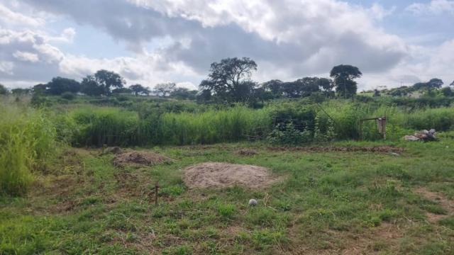 Stand for Sale in Chinhoyi