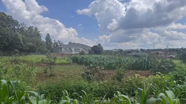 Residential Stand for Sale