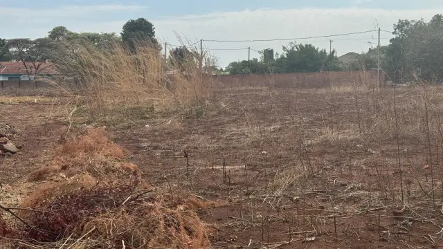 Residential Stand for Sale