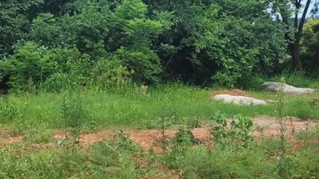 Residential Stand for Sale