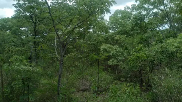 Residential Stand for Sale