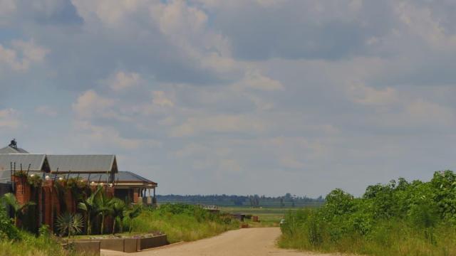 Stand for Sale in Goodhope