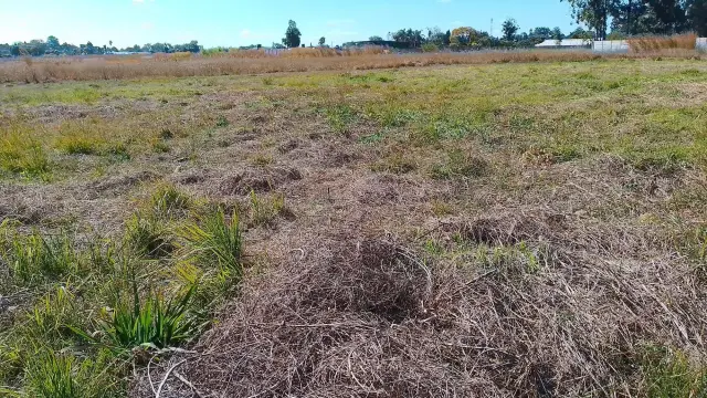 Commercial Stand for Sale