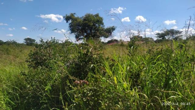 Stand for Sale in Lochview