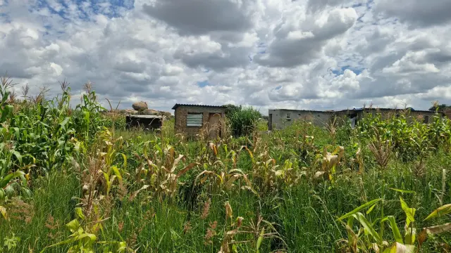 Residential Stand for Sale