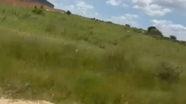 Industrial Stand for Sale