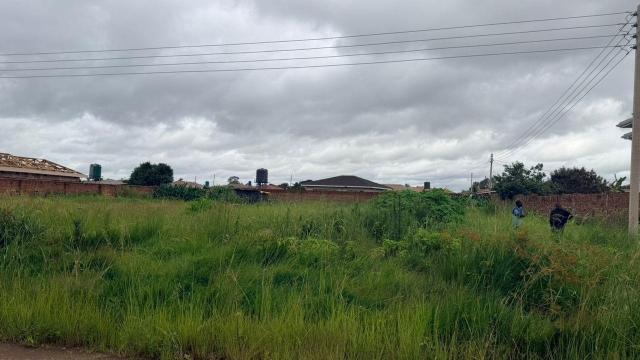 Stand for Sale in Haydon Park