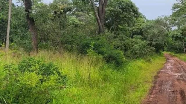 Stand for Sale in Norton