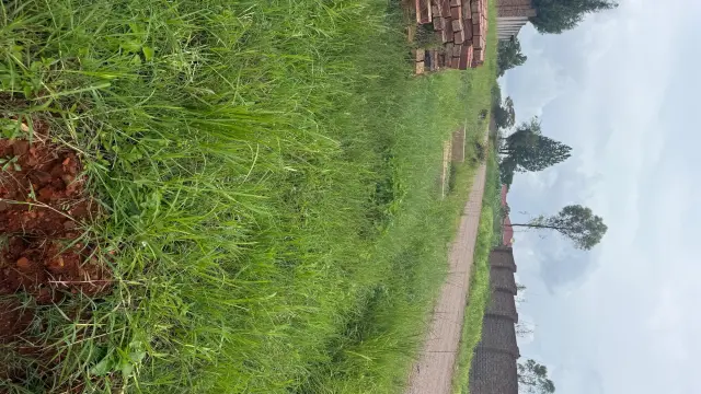 Residential Stand for Sale inHogerty Hill