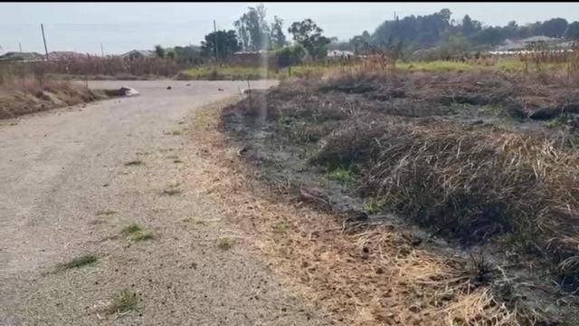 Stand for Sale in Glaudina