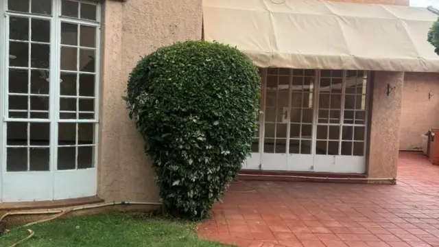 Flat/Apartment to Rent