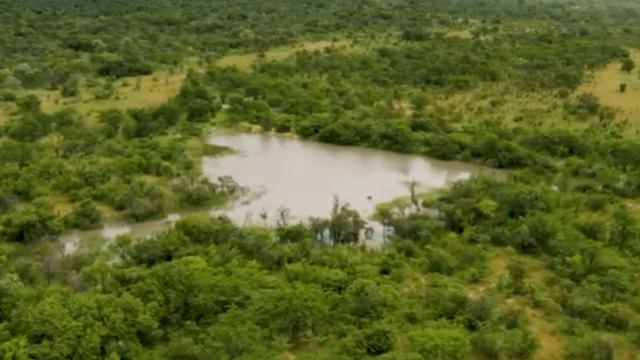 Stand for Sale in Figtree