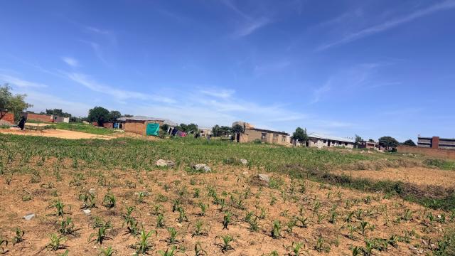 Stand for Sale in Timire Park