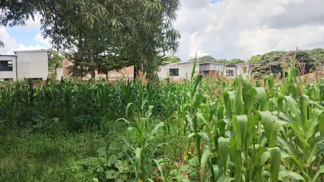 Residential Stand for Sale in Greendale