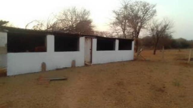 Stand for Sale in Bubi