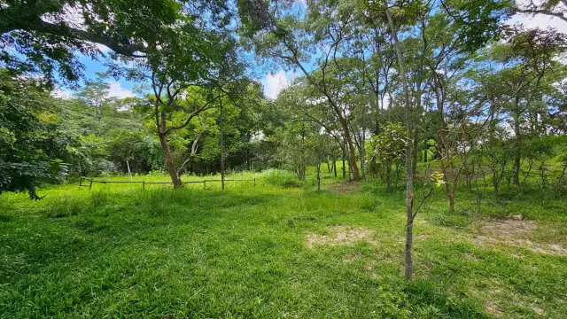 Residential Stand for Sale