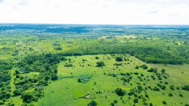 Industrial Stand for Sale