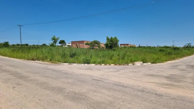 Commercial Stand for Sale