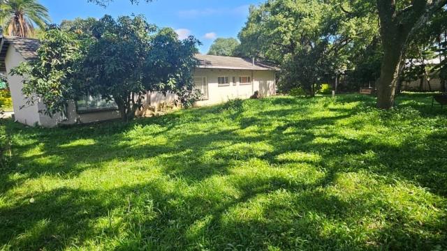 Stand for Sale in The Grange