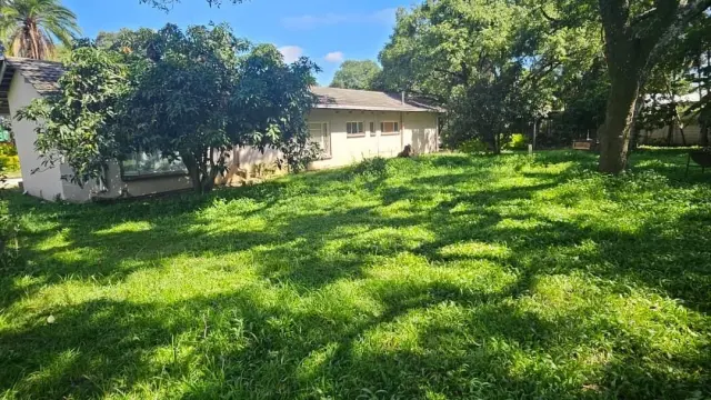 Commercial Stand for Sale