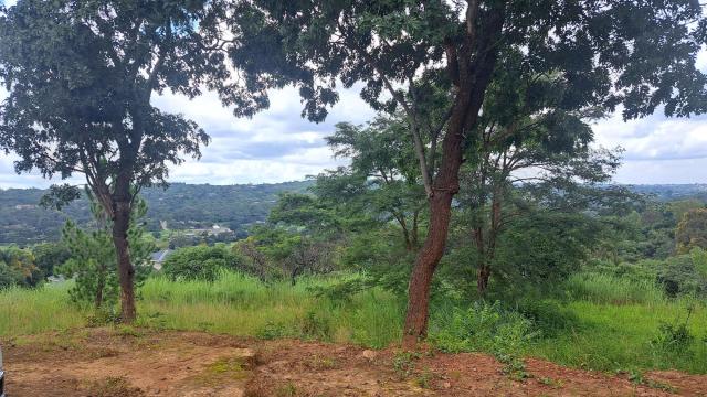 Stand for Sale in Helensvale