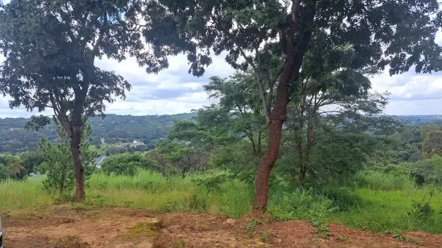 Residential Stand for Sale in Helensvale