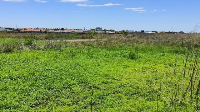 Residential Stand for Sale inFairview