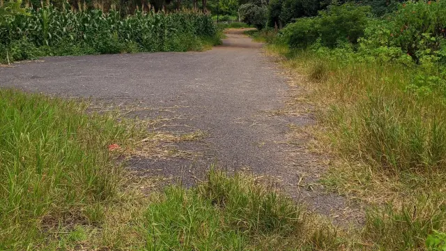 Residential Stand for Sale