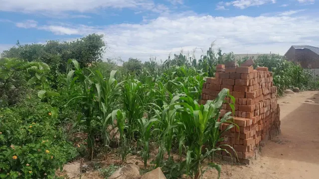 Residential Stand for Sale