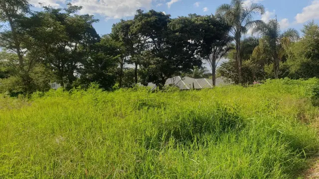 Residential Stand for Sale