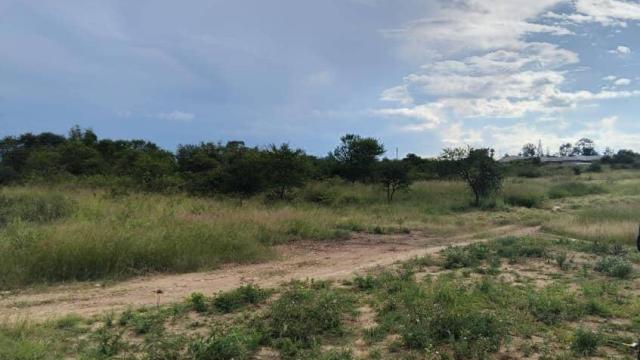 Stand for Sale in Manningdale