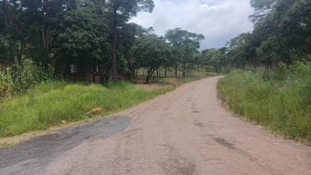 Stand for Sale in Carrick Creagh Estate