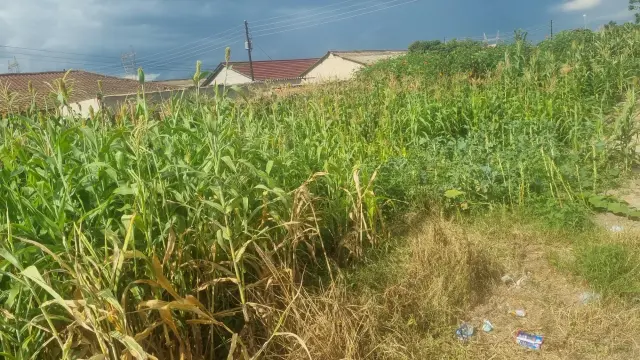 Residential Stand for Sale