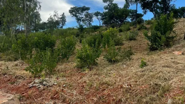 Residential Stand for Sale inCarrick Creagh Estate