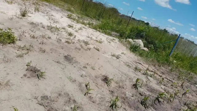 Residential Stand for Sale