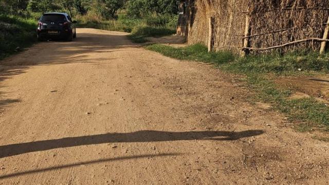 Stand for Sale in Charlotte Brooke